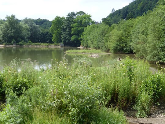 Weiher