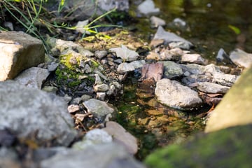 Frank_Schunder_Wasserresourcen-4
