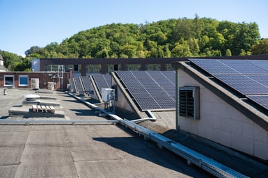 Hendrik_Kunz_NetZeroStrategie-Nachhaltigkeit-4